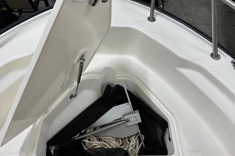 Slide: The Image of Boston Whaler 250 Dauntless 2024 - 21