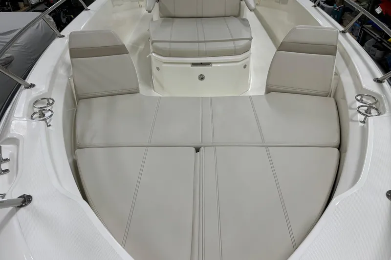 Slide: The Image of Boston Whaler 250 Dauntless 2024 - 23