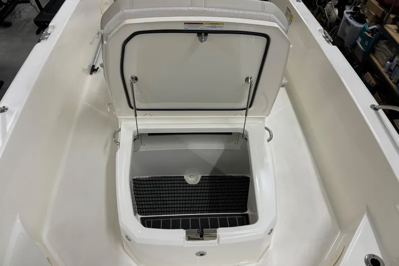 Slide: The Image of Boston Whaler 250 Dauntless 2024 - 25