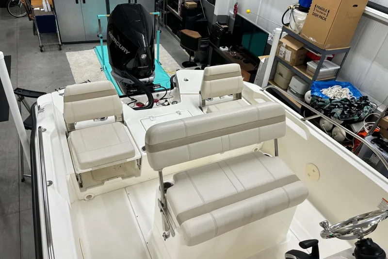 Slide: The Image of Boston Whaler 250 Dauntless 2024 - 27