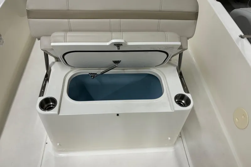 Slide: The Image of Boston Whaler 250 Dauntless 2024 - 28