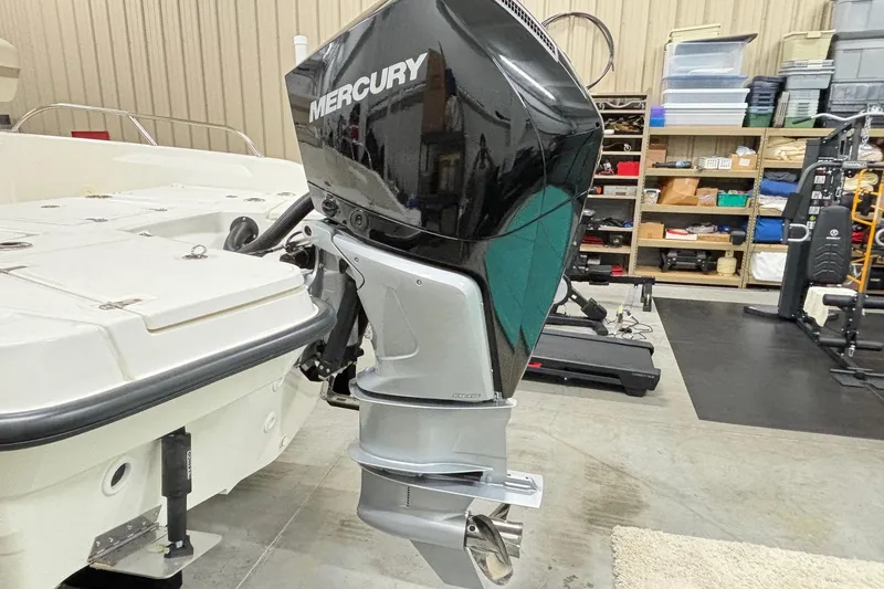 Slide: The Image of Boston Whaler 250 Dauntless 2024 - 30