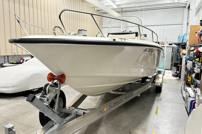 Slide: The Image of Boston Whaler 250 Dauntless 2024 - 5