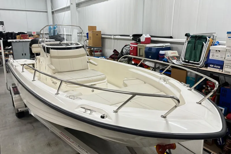 Slide: The Image of Boston Whaler 250 Dauntless 2024 - 6
