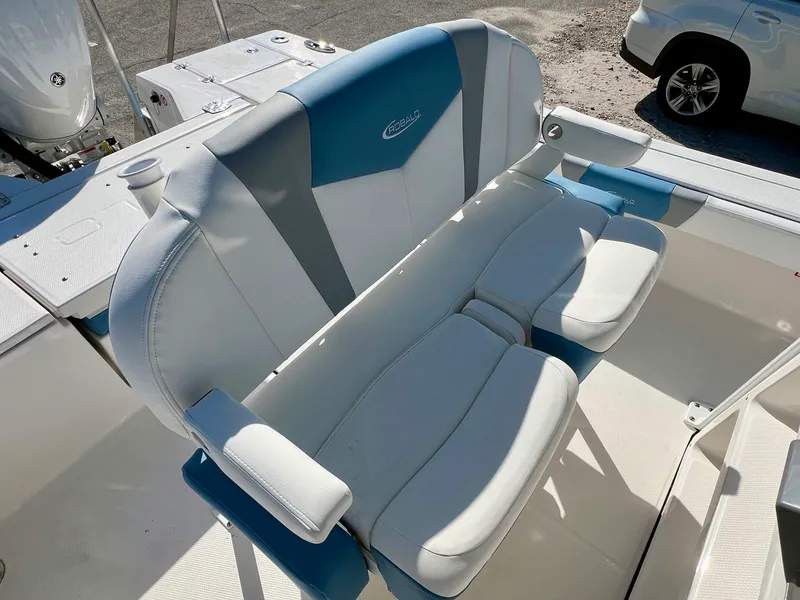 Slide: The Image of Robalo 246 2026 - 16