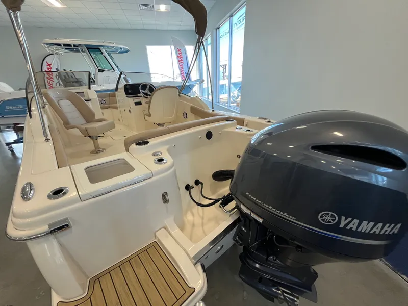 Slide: The Image of Scout 215 Dorado 2024 - 2