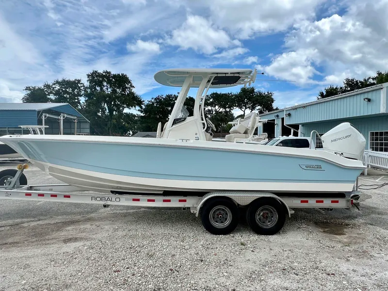 The Image of Boston whaler 25DNT 2026 - 0
