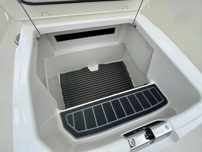 Slide: The Image of Boston whaler 25DNT 2026 - 30