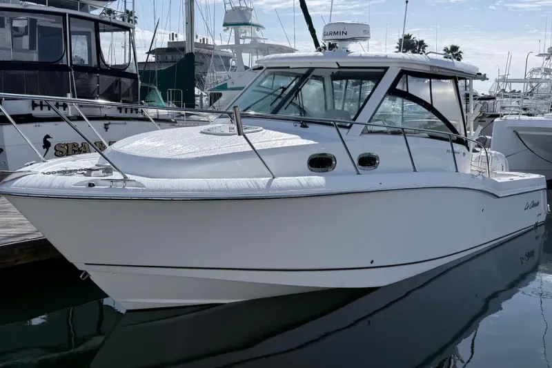 The Image of Boston Whaler 315 Conquest 2018 - 0