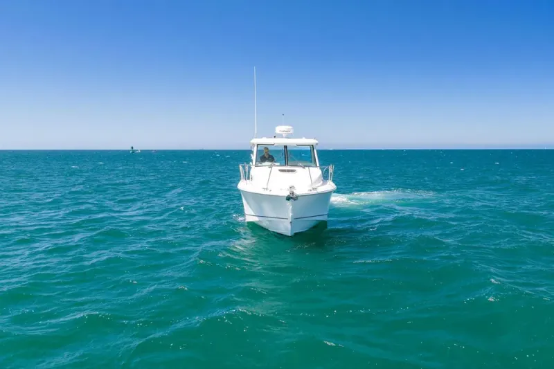 Slide: The Image of Boston Whaler 315 Conquest 2018 - 78