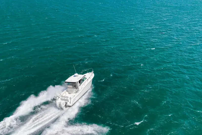 Slide: The Image of Boston Whaler 315 Conquest 2018 - 70