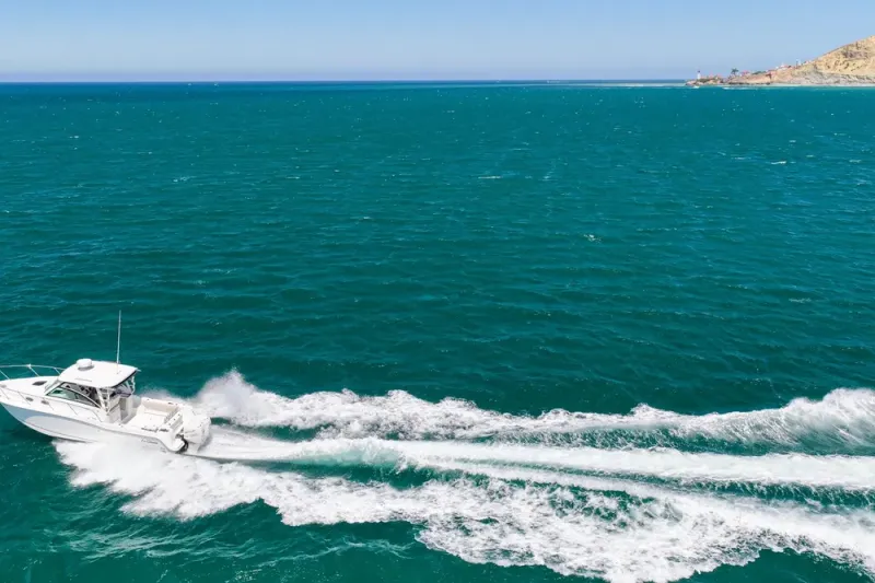 Slide: The Image of Boston Whaler 315 Conquest 2018 - 56