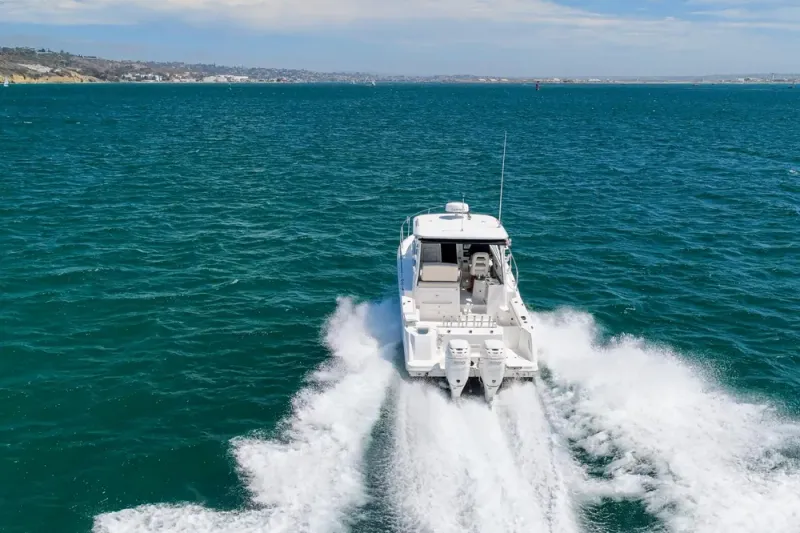 Slide: The Image of Boston Whaler 315 Conquest 2018 - 43