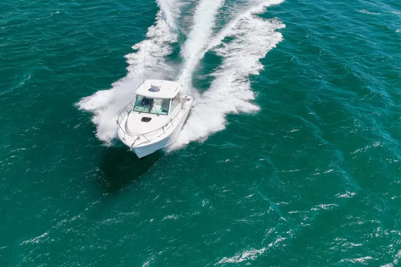 Slide: The Image of Boston Whaler 315 Conquest 2018 - 67