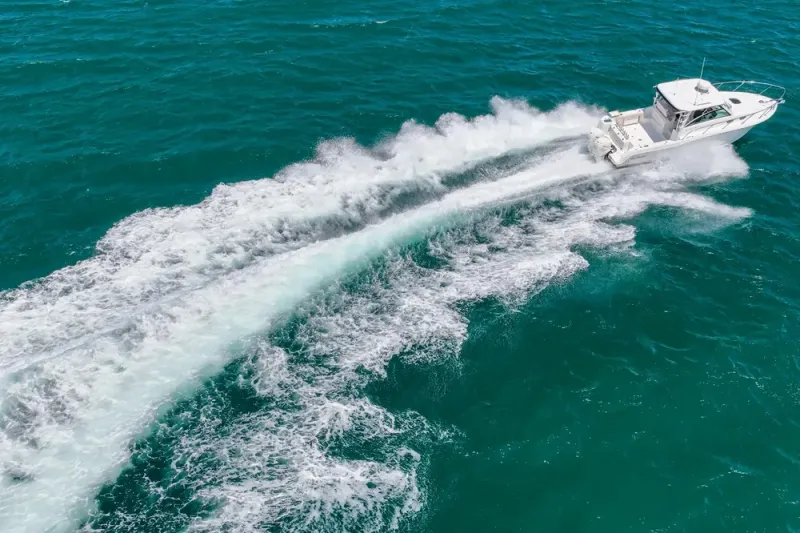 Slide: The Image of Boston Whaler 315 Conquest 2018 - 69