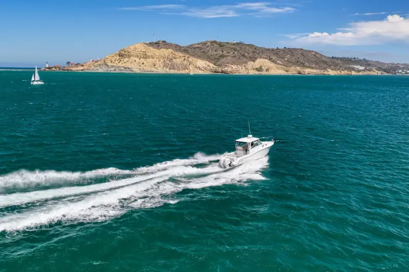 Slide: The Image of Boston Whaler 315 Conquest 2018 - 74