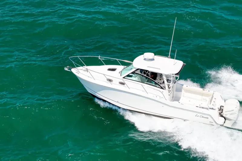 Slide: The Image of Boston Whaler 315 Conquest 2018 - 3