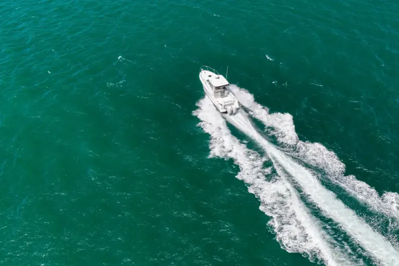 Slide: The Image of Boston Whaler 315 Conquest 2018 - 51