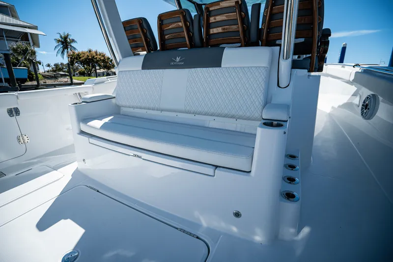 Slide: The Image of Bertram 39CC 2024 - 14