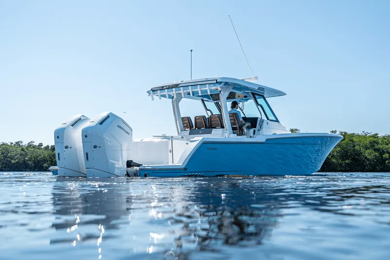 Slide: The Image of Bertram 39CC 2024 - 44