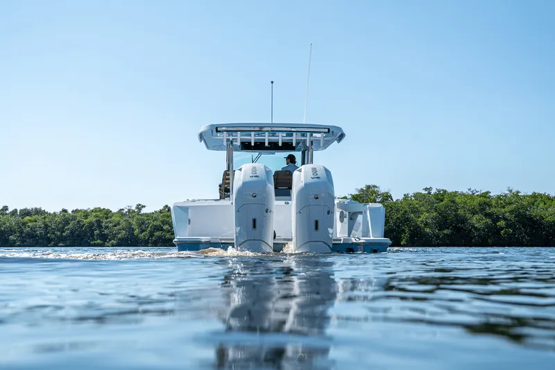 Slide: The Image of Bertram 39CC 2024 - 46