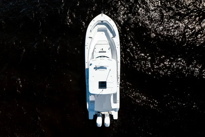 Slide: The Image of Bertram 39CC 2024 - 8