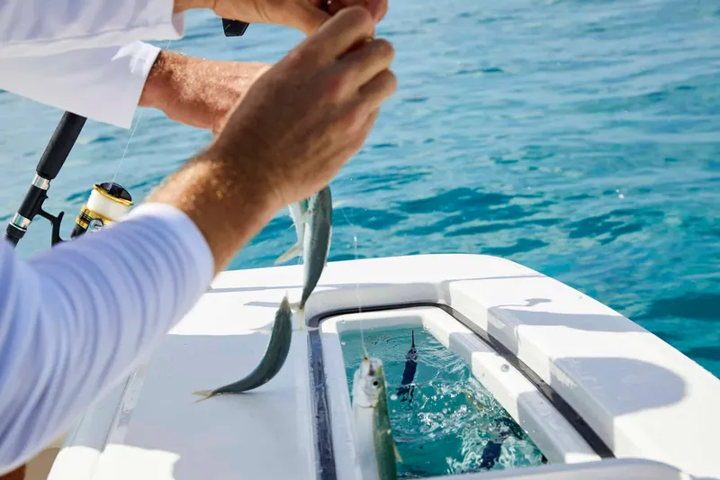 Slide: The Image of Regulator Marine 34 2025 - 16