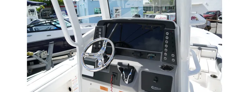 Slide: The Image of Robalo R246 Cayman SD 2026 - 2