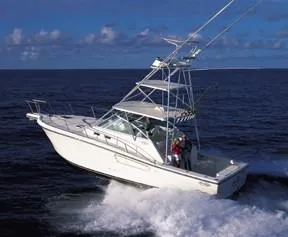 The Image of Rampage 38 Express 2003 - 0