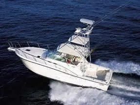 Slide: The Image of Rampage 38 Express 2003 - 5