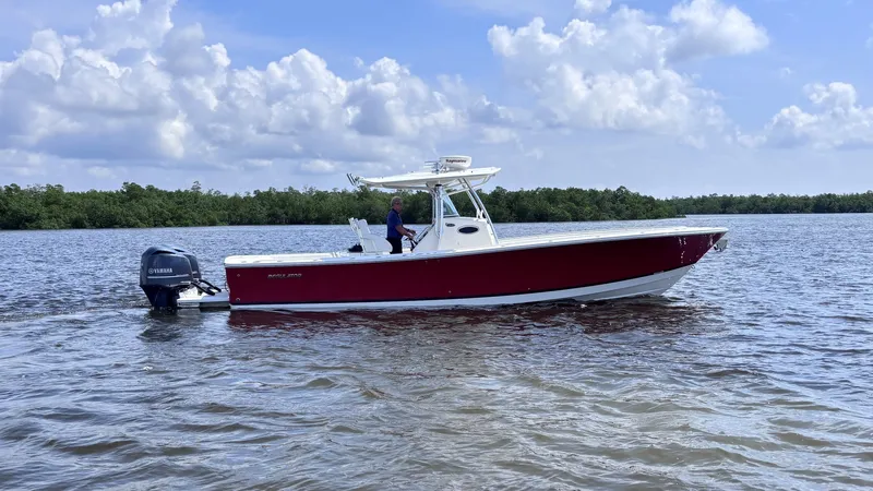 The Image of Regulator Marine 34 FS 2013 - undefined