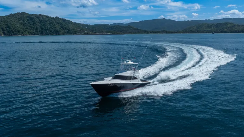 Slide: The Image of Viking 46 Billfish 2020 - 47