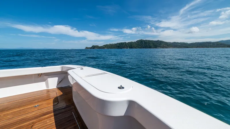Slide: The Image of Viking 46 Billfish 2020 - 23