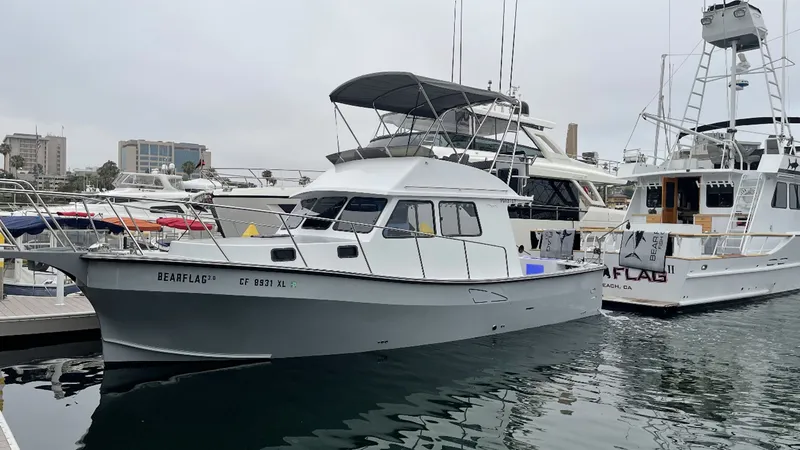 The Image of Donelle 35 Flybridge Sportfish 2019 - 0