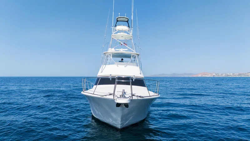 Slide: The Image of Viking 50 Convertible 2009 - 6