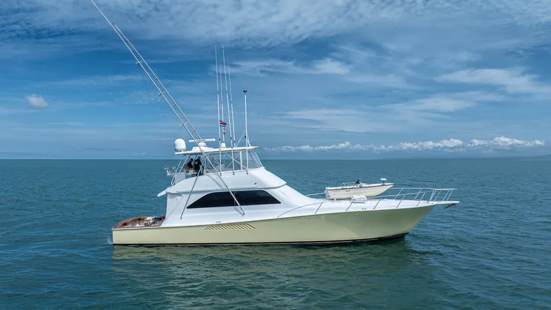 The Image of Viking 61 Convertible 2002 - undefined
