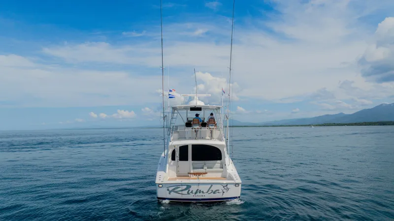 Slide: The Image of Viking 48 Convertible 2023 - 12