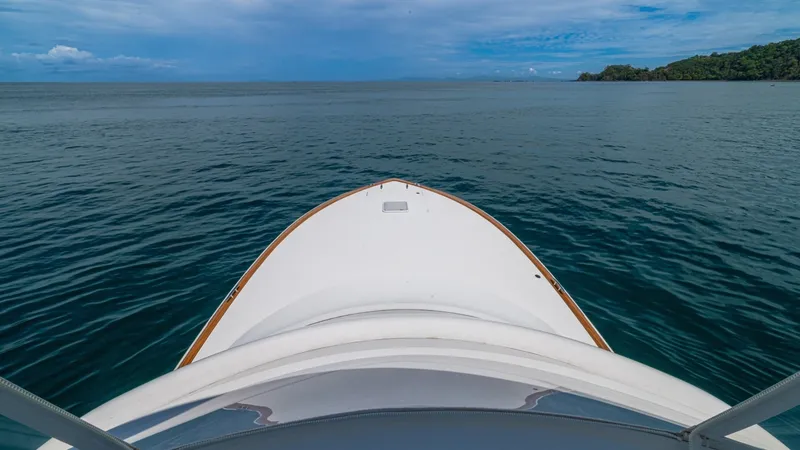 Slide: The Image of Viking 46 Billfish 2023 - 47