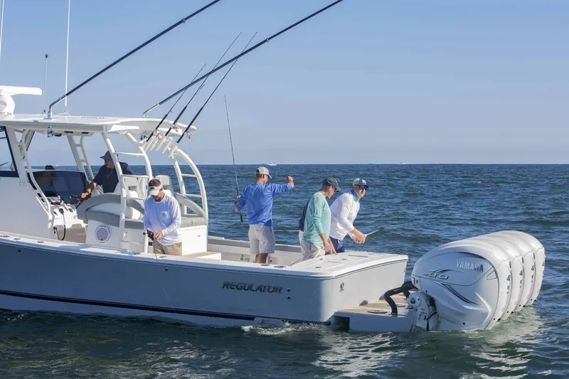 Slide: The Image of Regulator Marine 41 2025 - 17