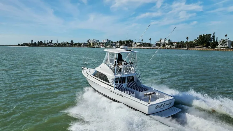 Slide: The Image of Bertram 35 Flybridge 2017 - 59