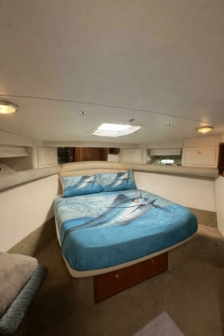 Slide: The Image of Riviera 43 Flybridge 2002 - 7