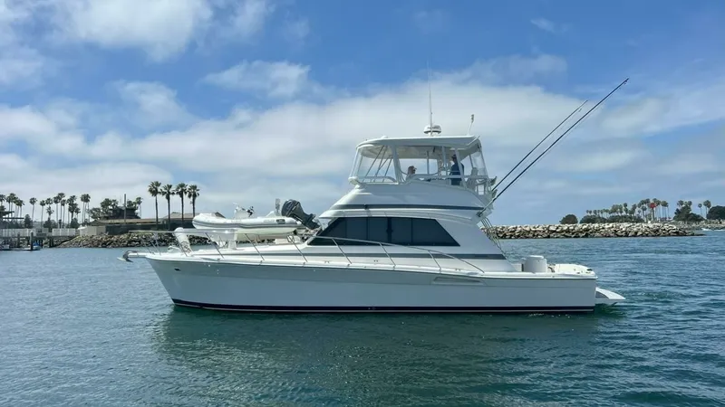 The Image of Riviera 43 Flybridge 2002 - 0