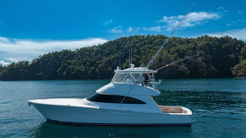 The Image of Viking 58 Convertible 2025 - undefined