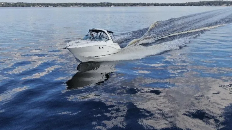 Slide: The Image of Sea Ray 310 Sundancer 2009 - 20