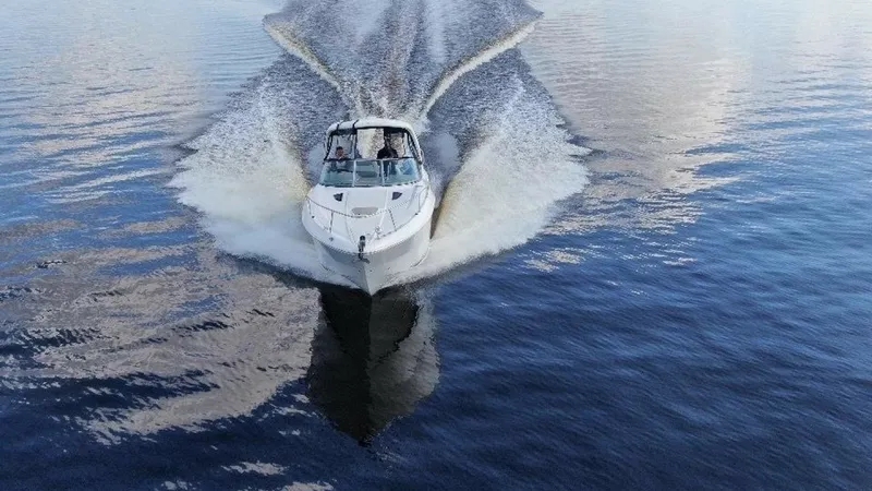 Slide: The Image of Sea Ray 310 Sundancer 2009 - 5