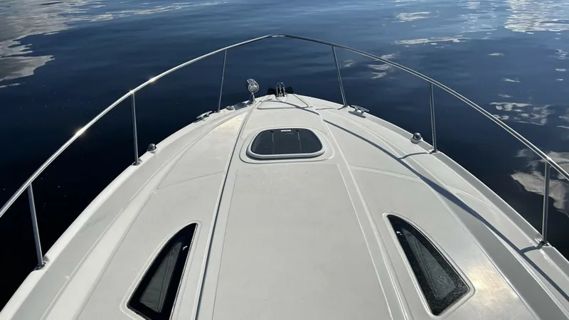 Slide: The Image of Sea Ray 310 Sundancer 2009 - 17
