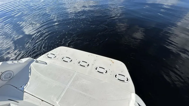 Slide: The Image of Sea Ray 310 Sundancer 2009 - 13