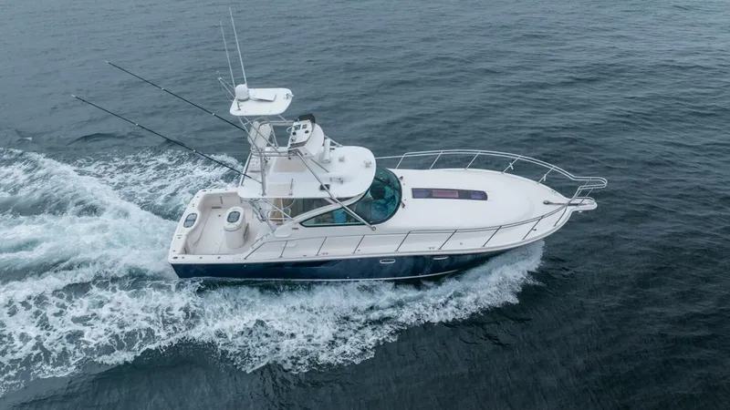 The Image of Tiara 4300 Open 2015 - 0