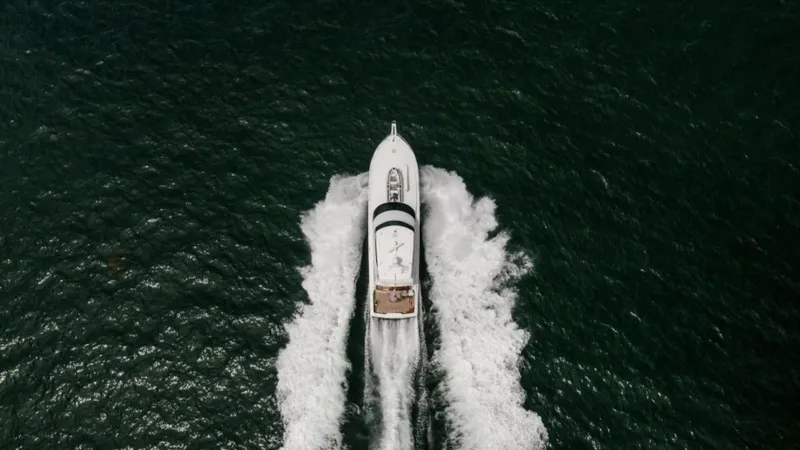 Slide: The Image of Viking 74 Enclosed Bridge 2006 - 75