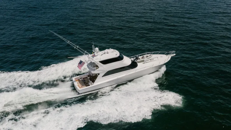 Slide: The Image of Viking 74 Enclosed Bridge 2006 - 72